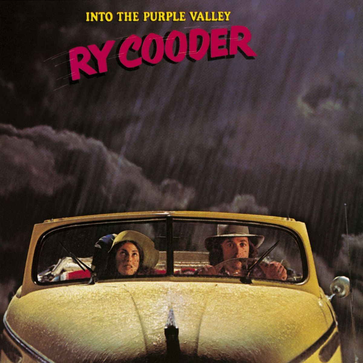 Album cover of Vigilante Man