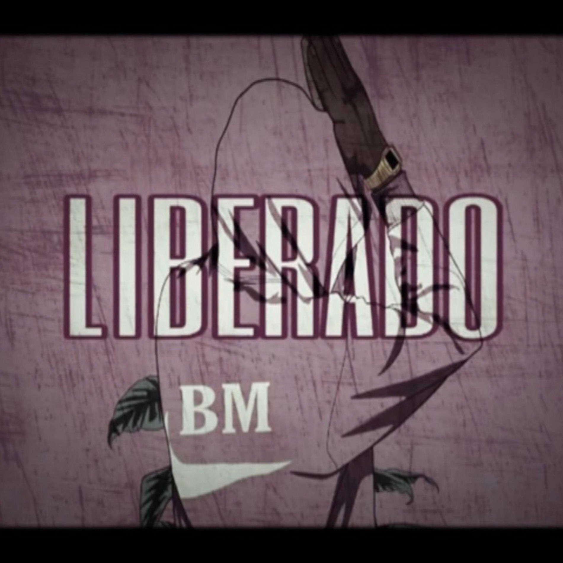 Album cover of Liberado