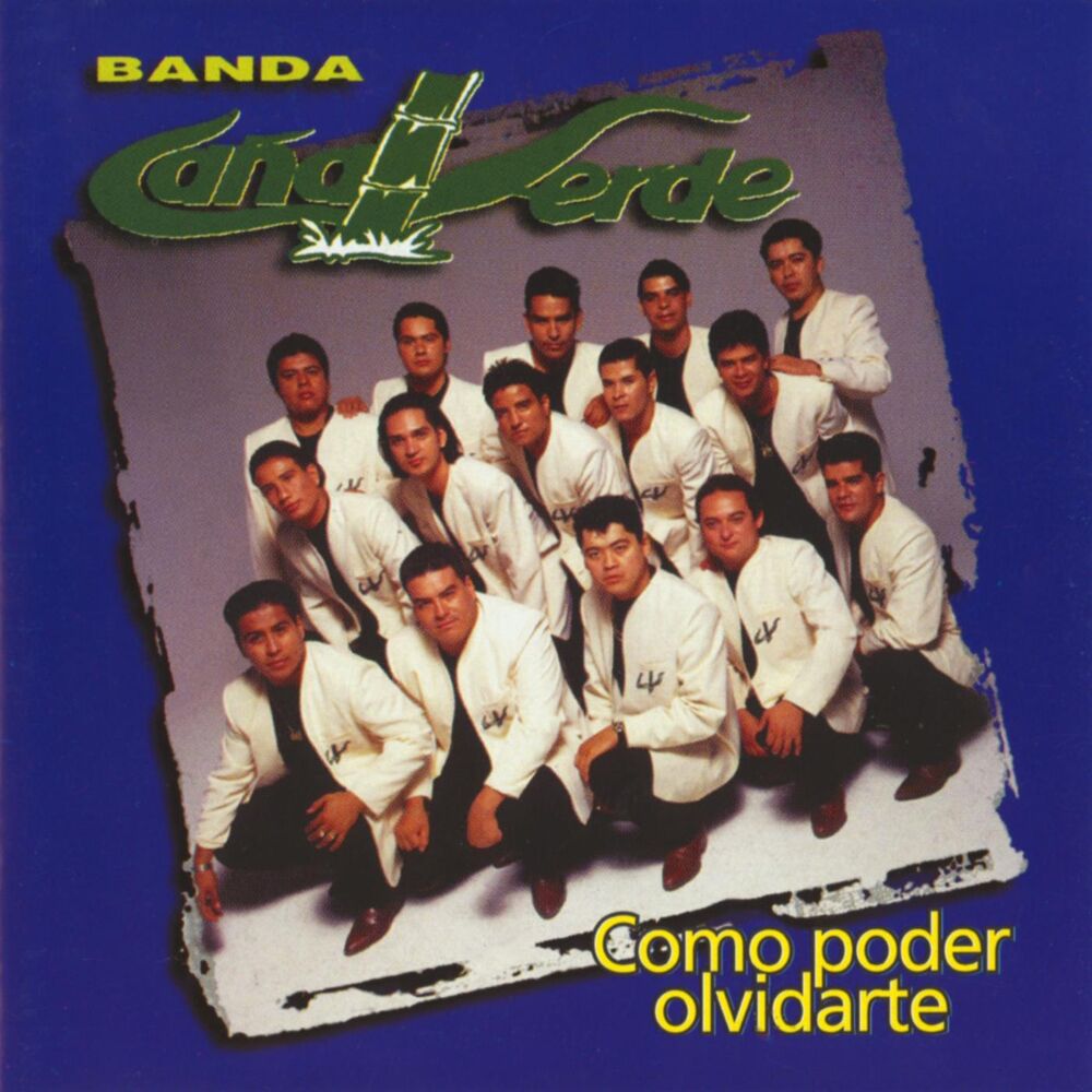 Picture of Como Poder Olvidarte
