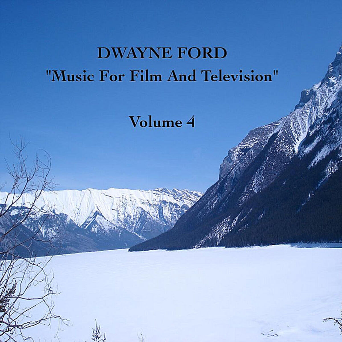 Album cover of 