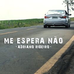 Cover of Me Espera Não