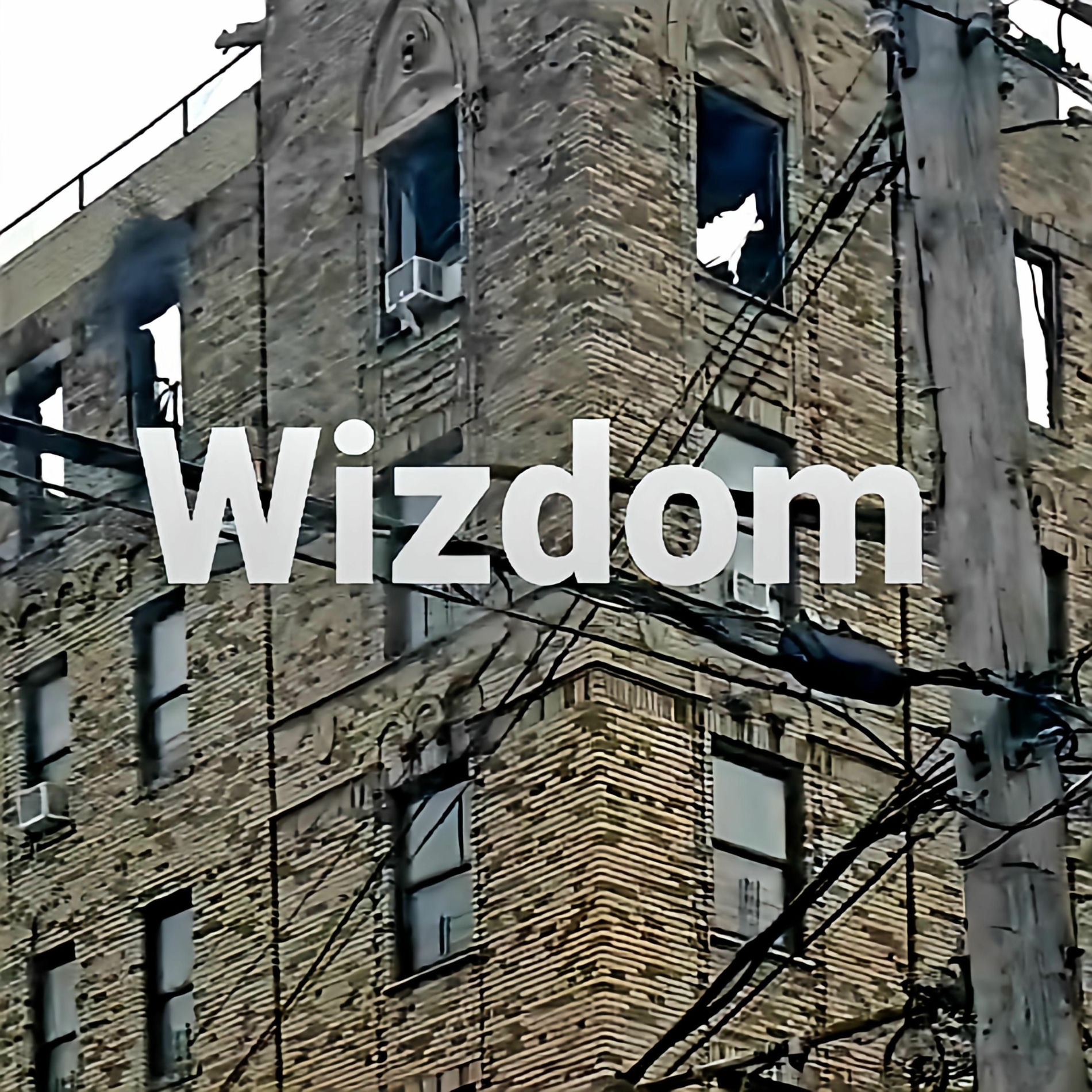 Album cover of Wizdom (feat. Ghostface Killah)