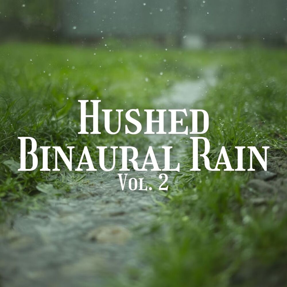 Picture of Hushed Binaural Rain Vol. 2