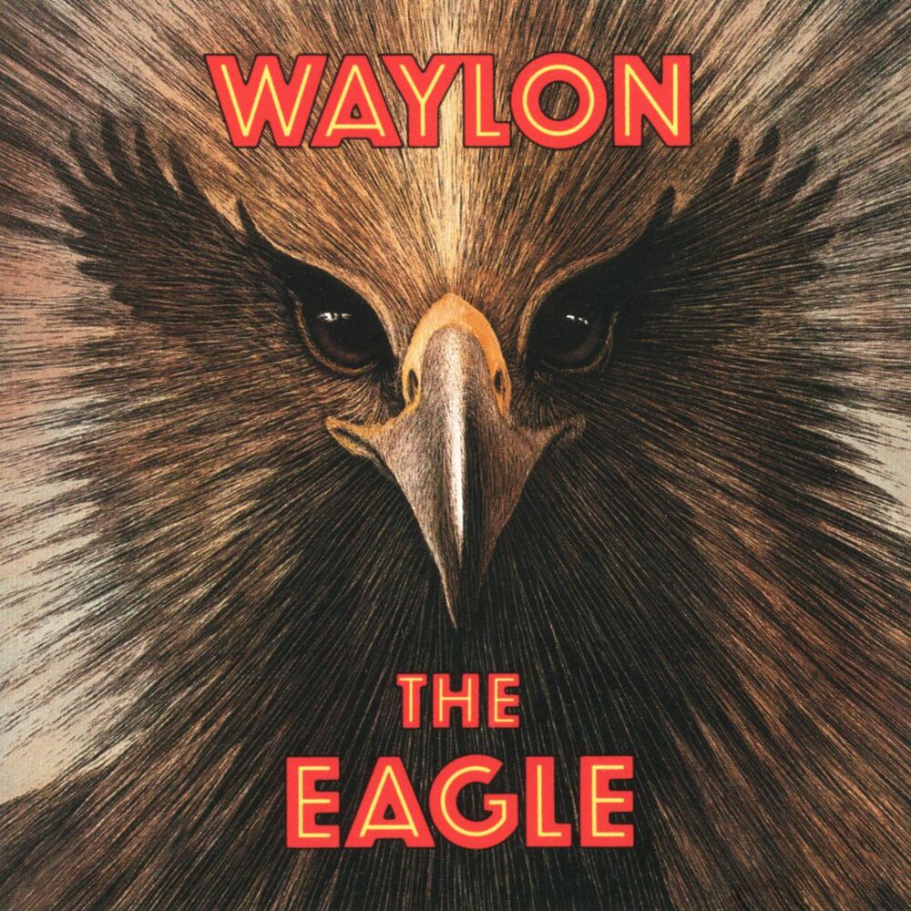 Picture of The Eagle