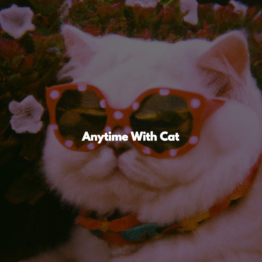Picture of Anytime With Cat