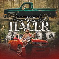 Cover of Que Vas a Hacer