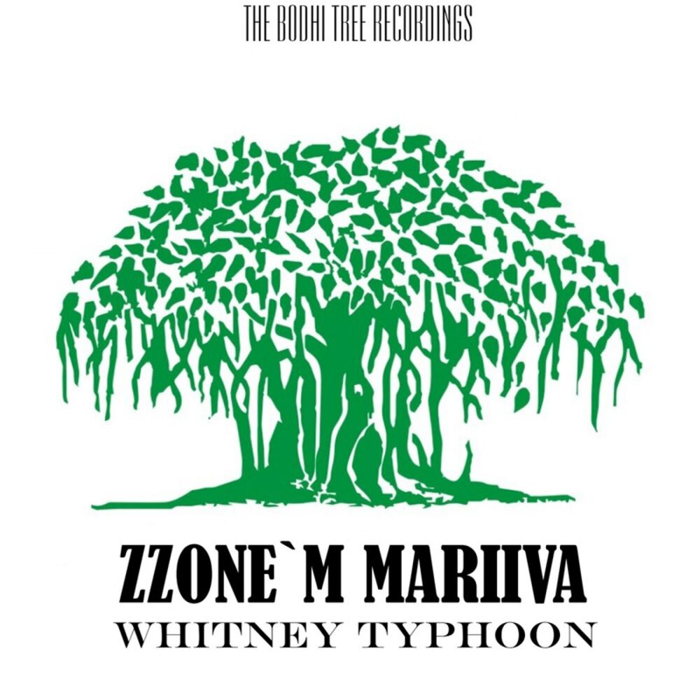 Picture of Whitney Typhoon