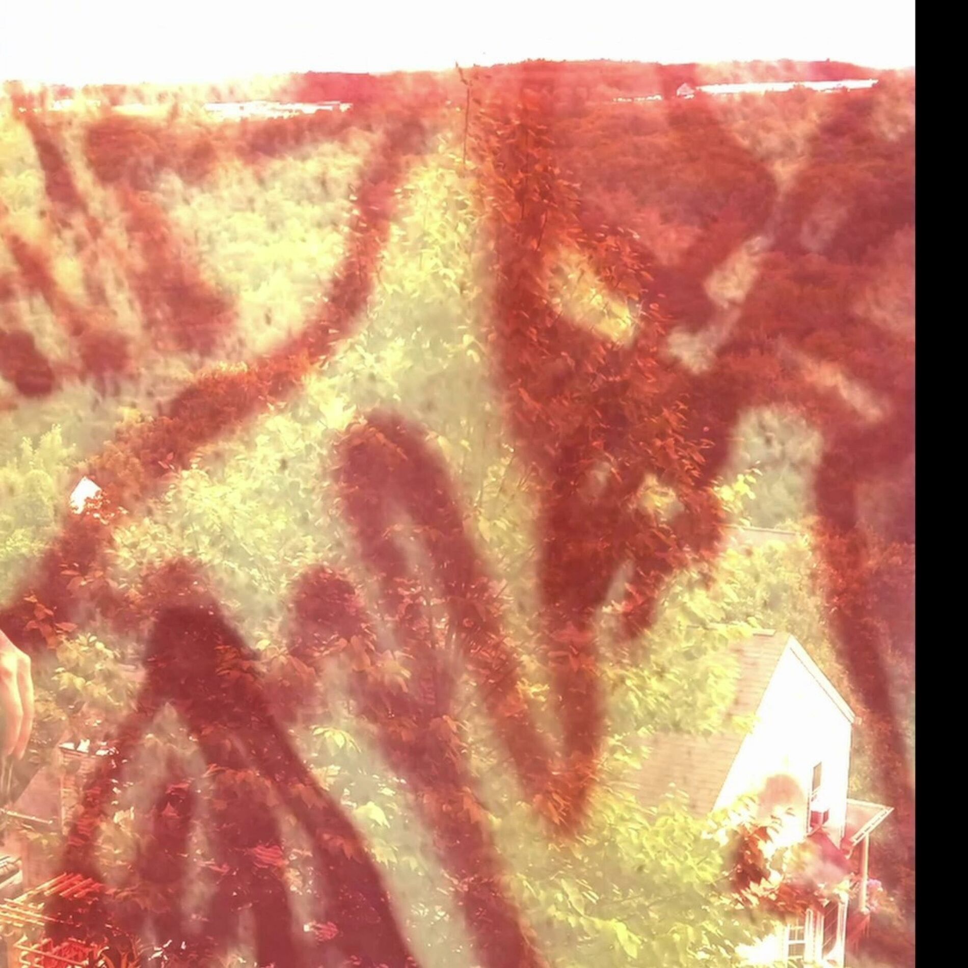 Album cover of careful chaos