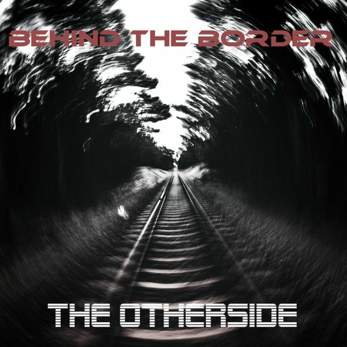 Album cover of The Otherside