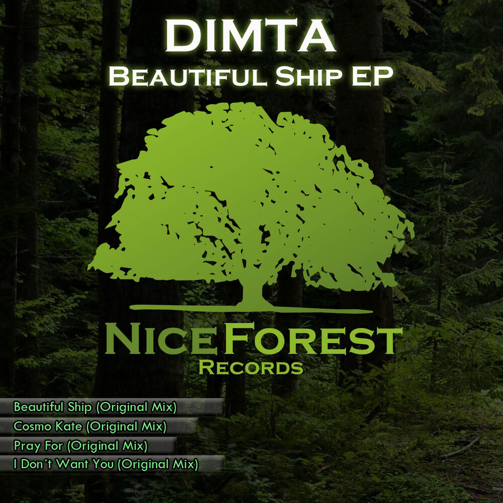 Picture of Beautiful Ship EP