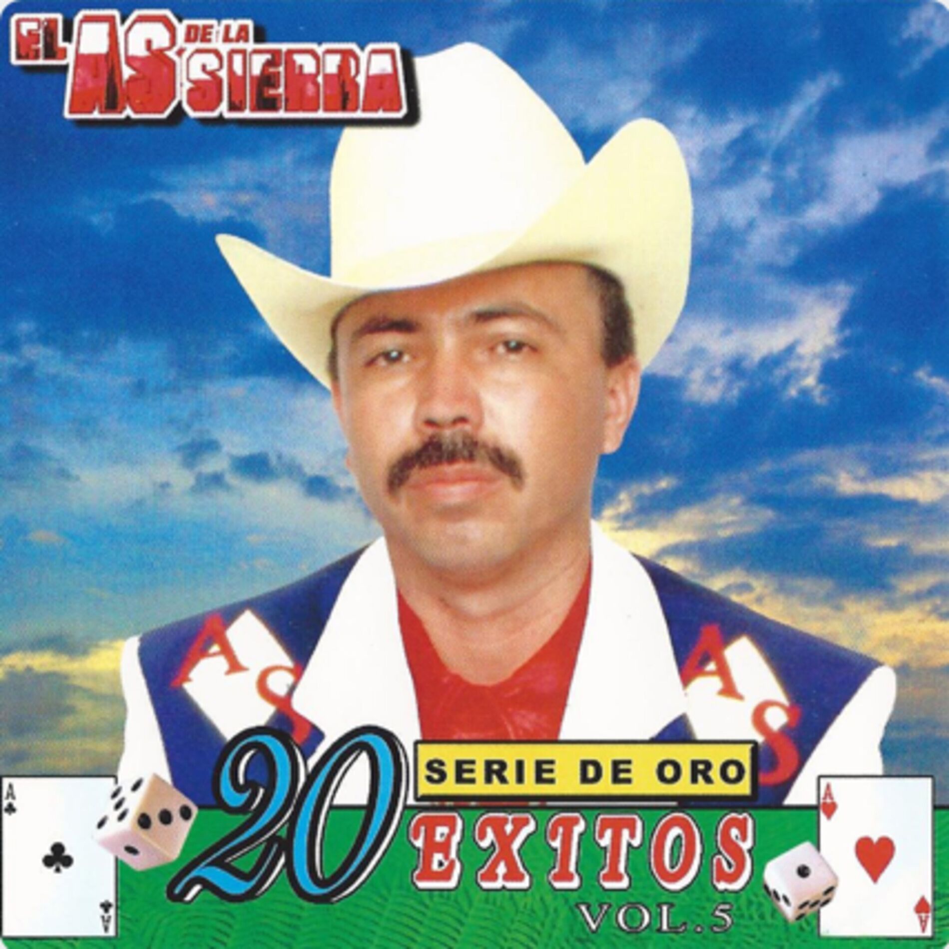 Album cover of Serie de Oro 20 Exitos (Vol. 5)