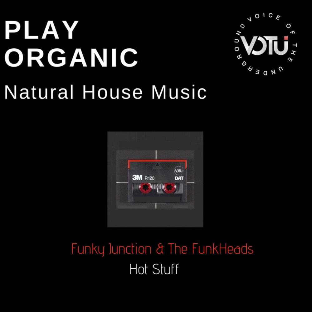 Picture of Hot Stuff (Funkylicious Mixes)