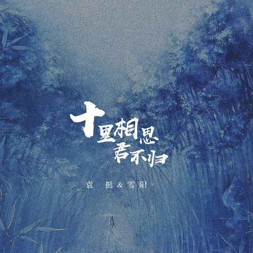 十里相思君不归