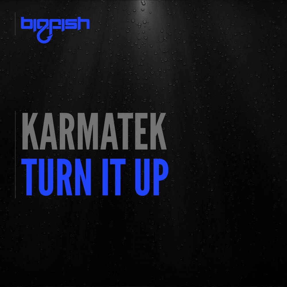 Picture of Turn It Up