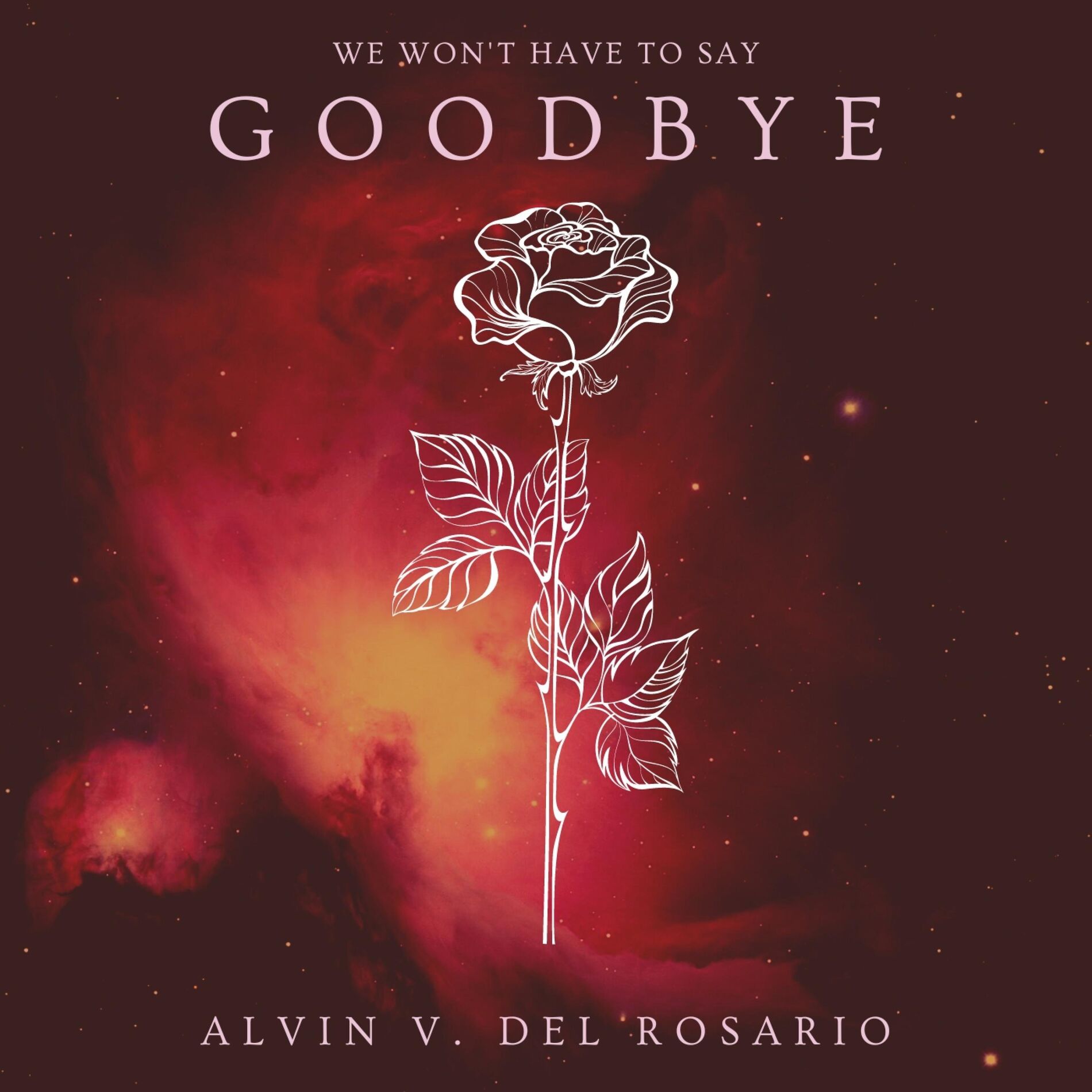 Album cover of We Won't Have To Say Goodbye