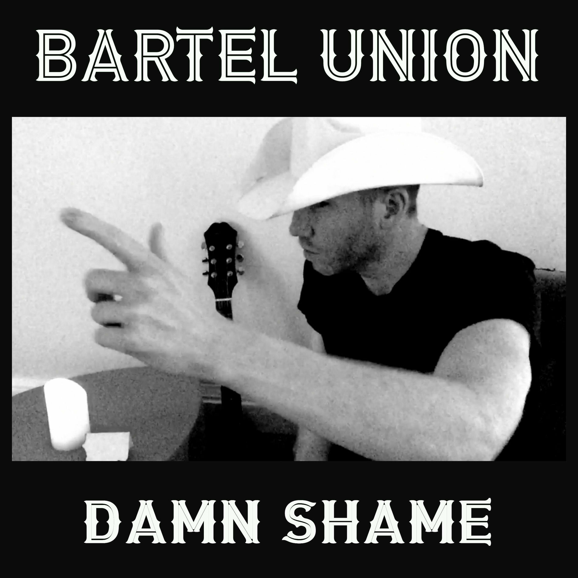 Album cover of Damn Shame