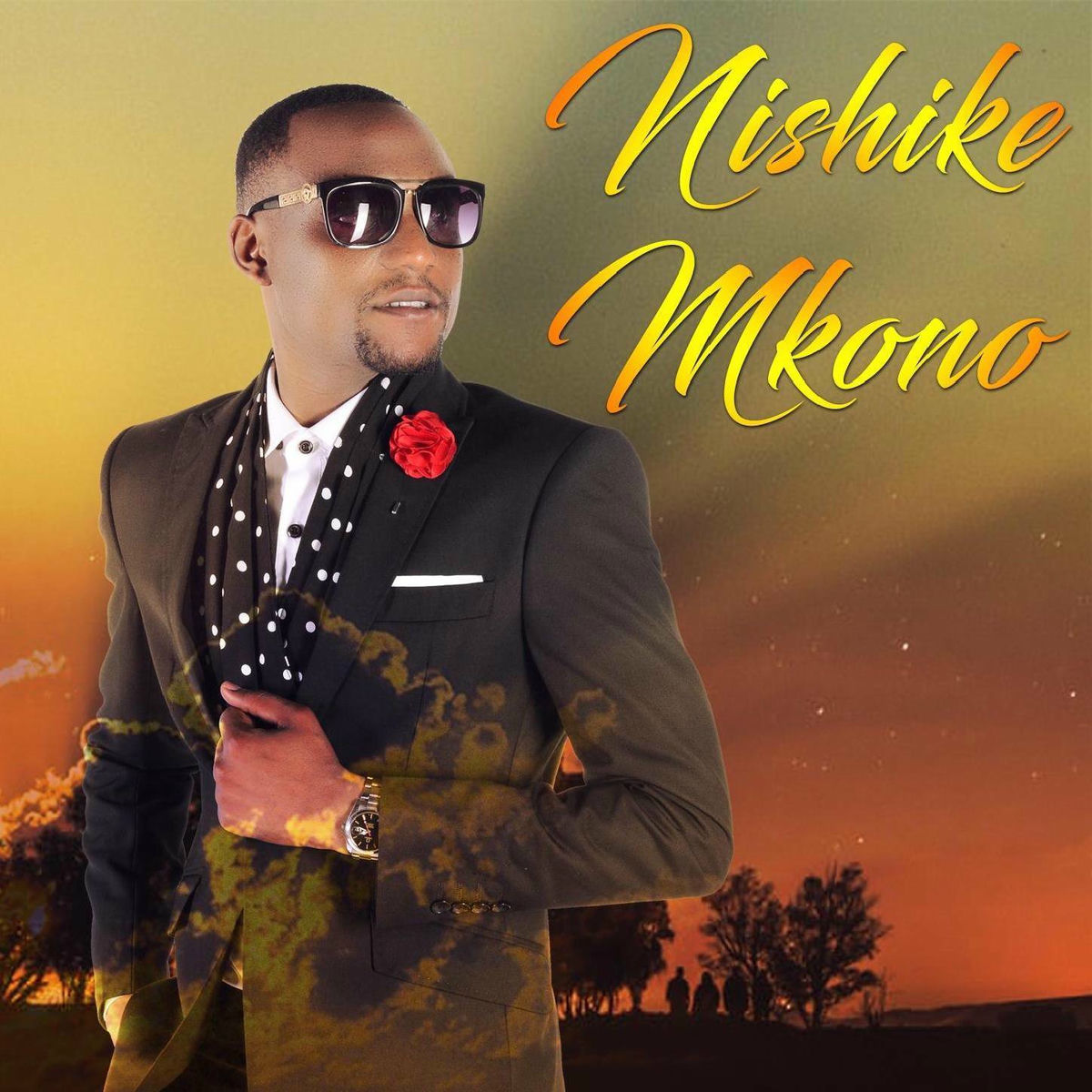 Album cover of Nishike Mkono