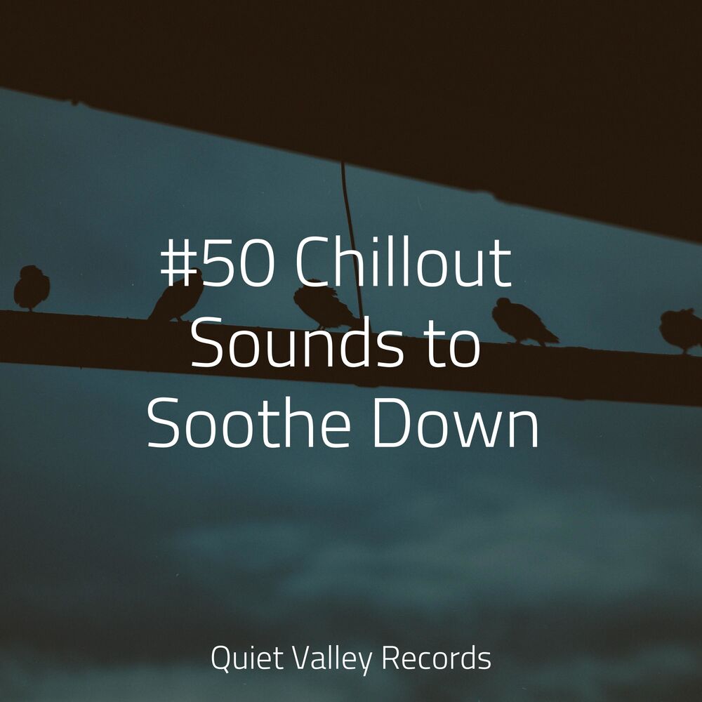 Picture of #50 Chillout Sounds to Soothe Down