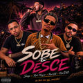 SOBE E DESCE