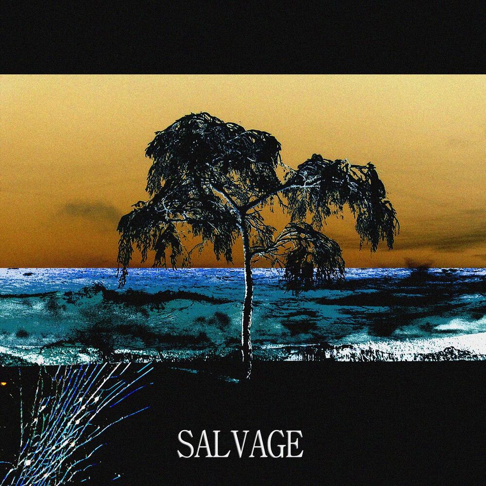 Picture of SALVAGE