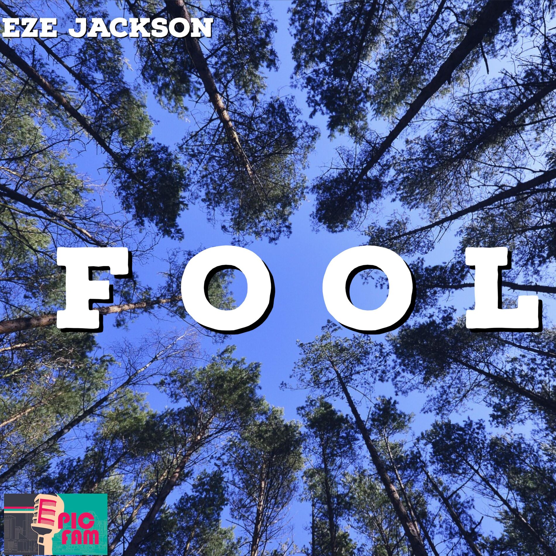 Album cover of Fool