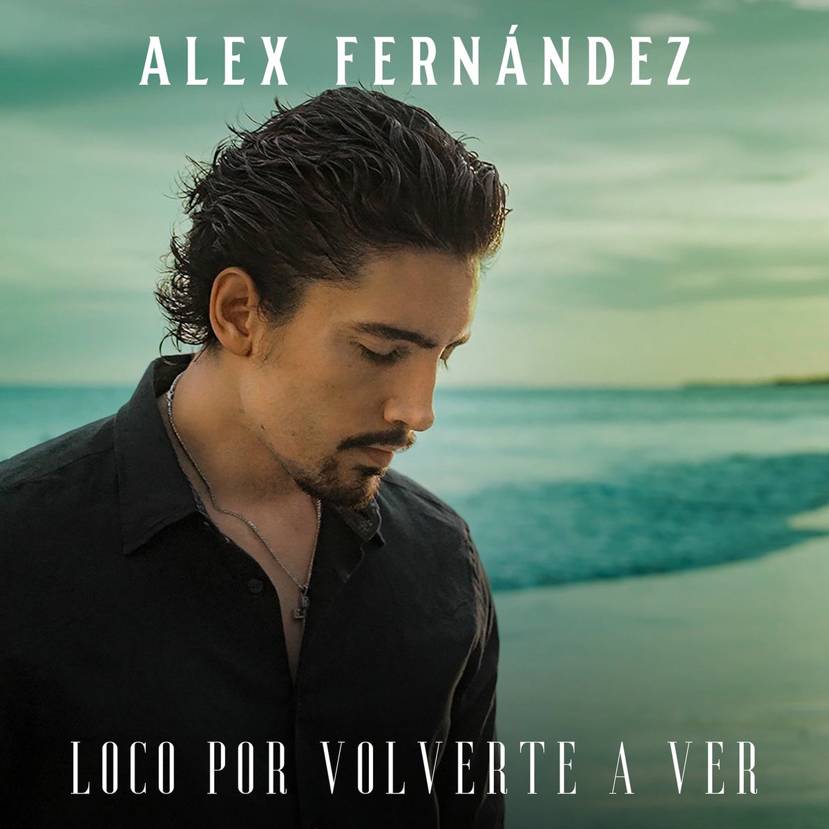Album cover of Loco Por Volverte A Ver