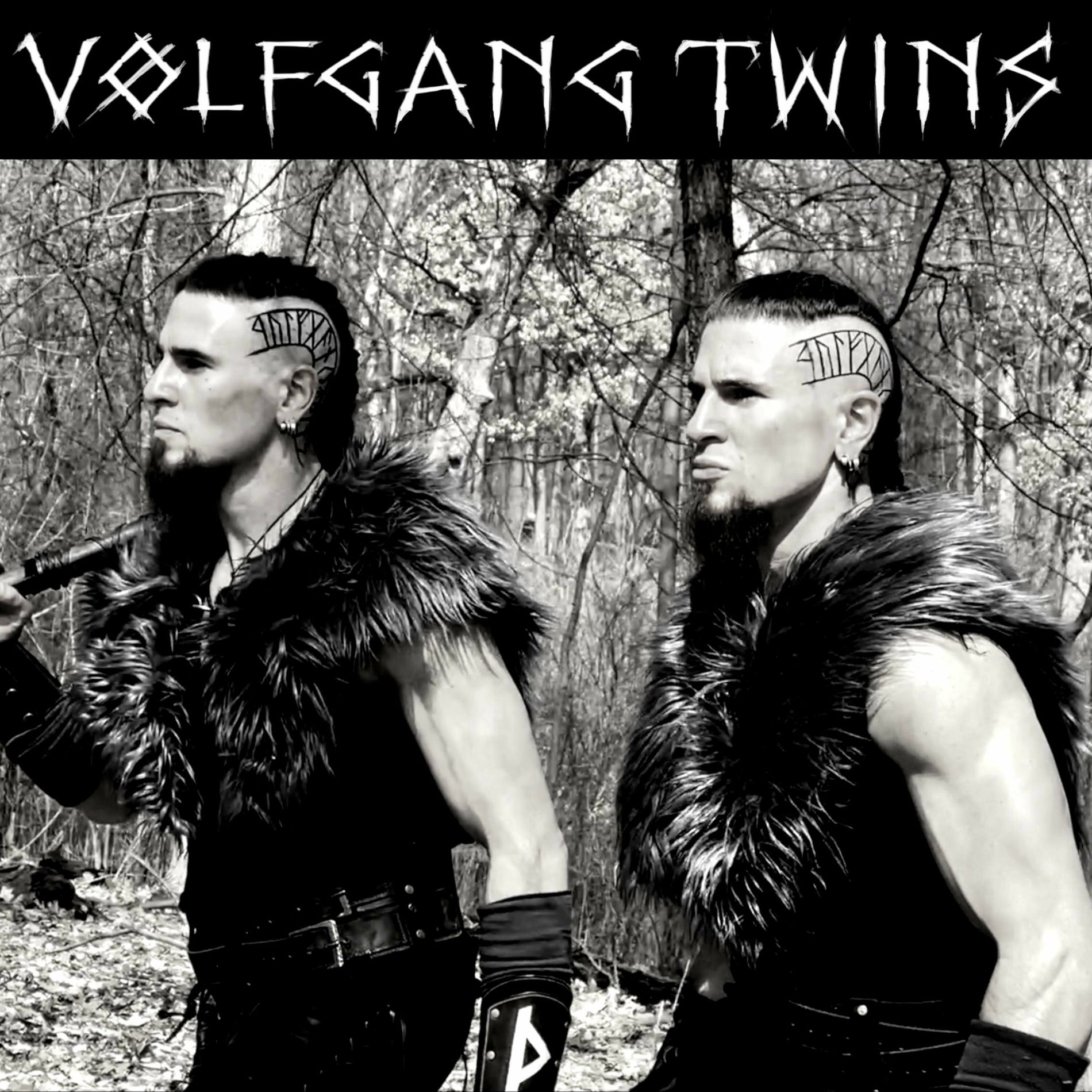 Album cover of Scars