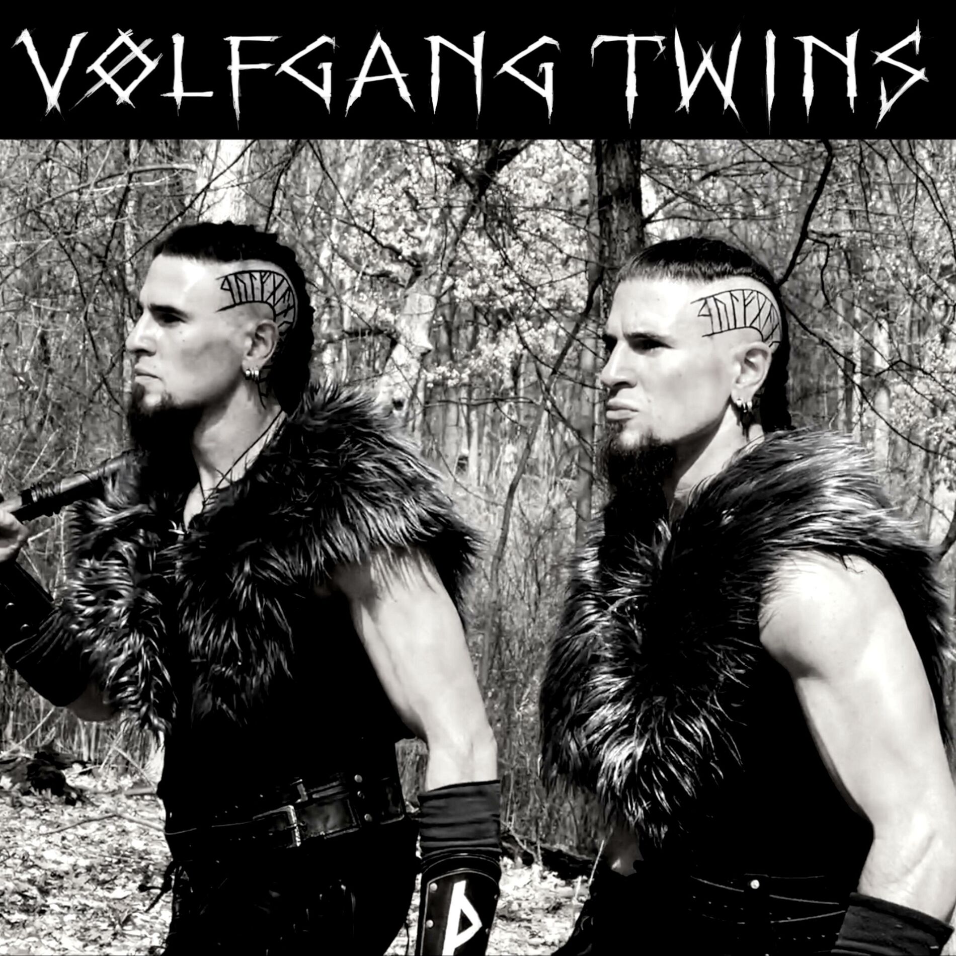 Album cover of Scars