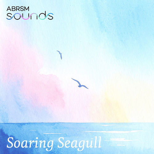 Soaring Seagull