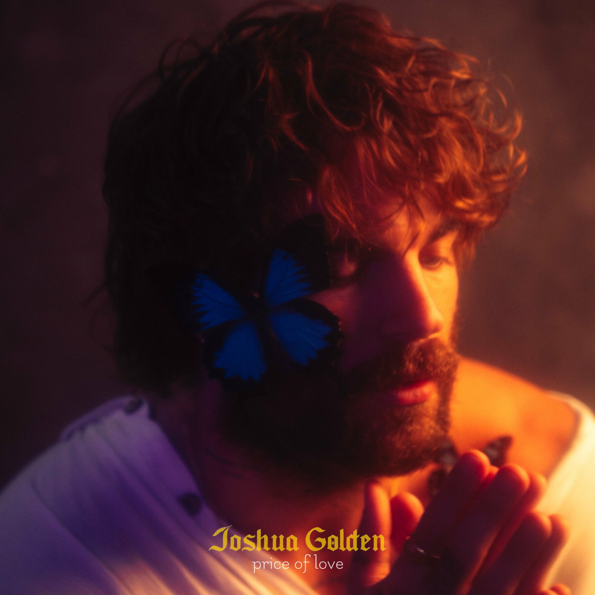 Album cover of Price of Love