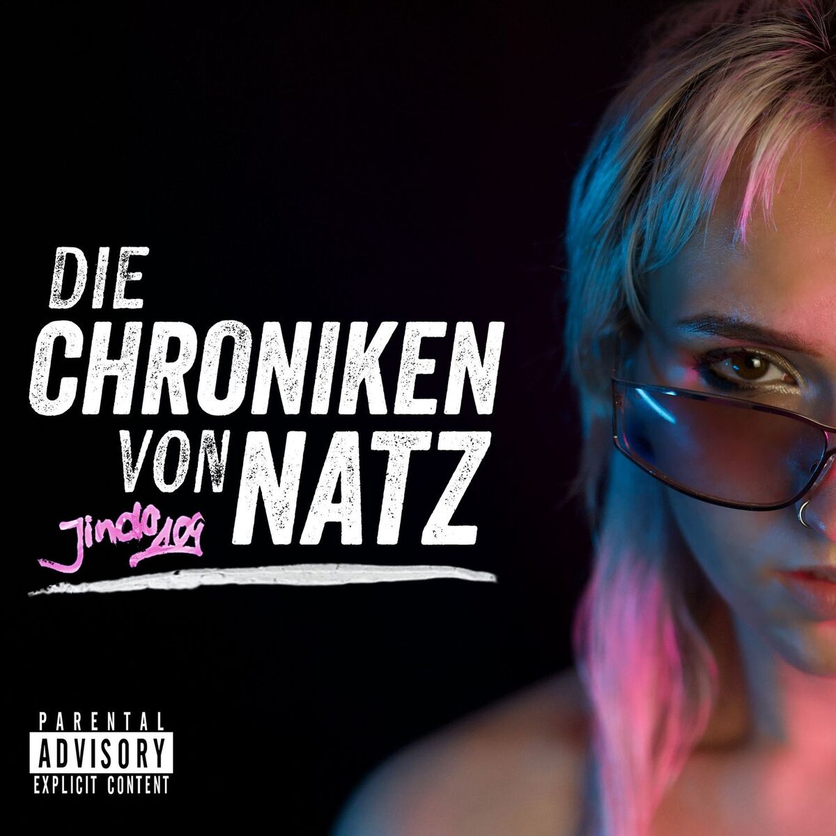 Album cover of Die Chroniken von Natz