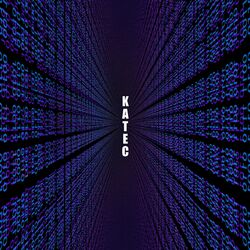 Cover of The System