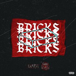 Cover of Bricks