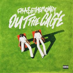 Cover of OUT THE CAGE