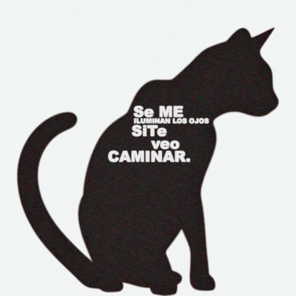 Picture of SeMeIluminanLosOjosSiTeVeoCaminar