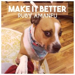 Cover of MAKE IT BETTER