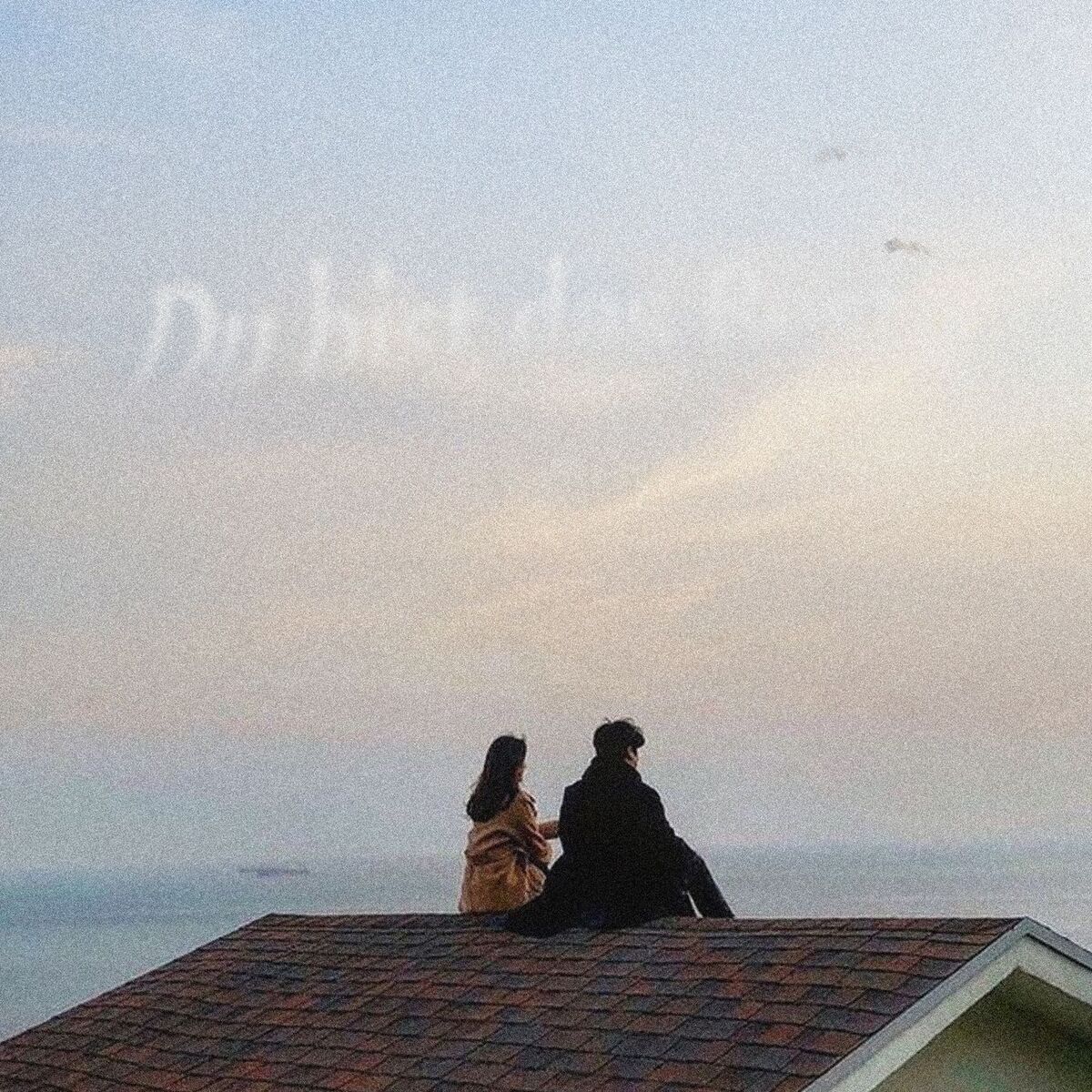 Album cover of Du bist das Beste