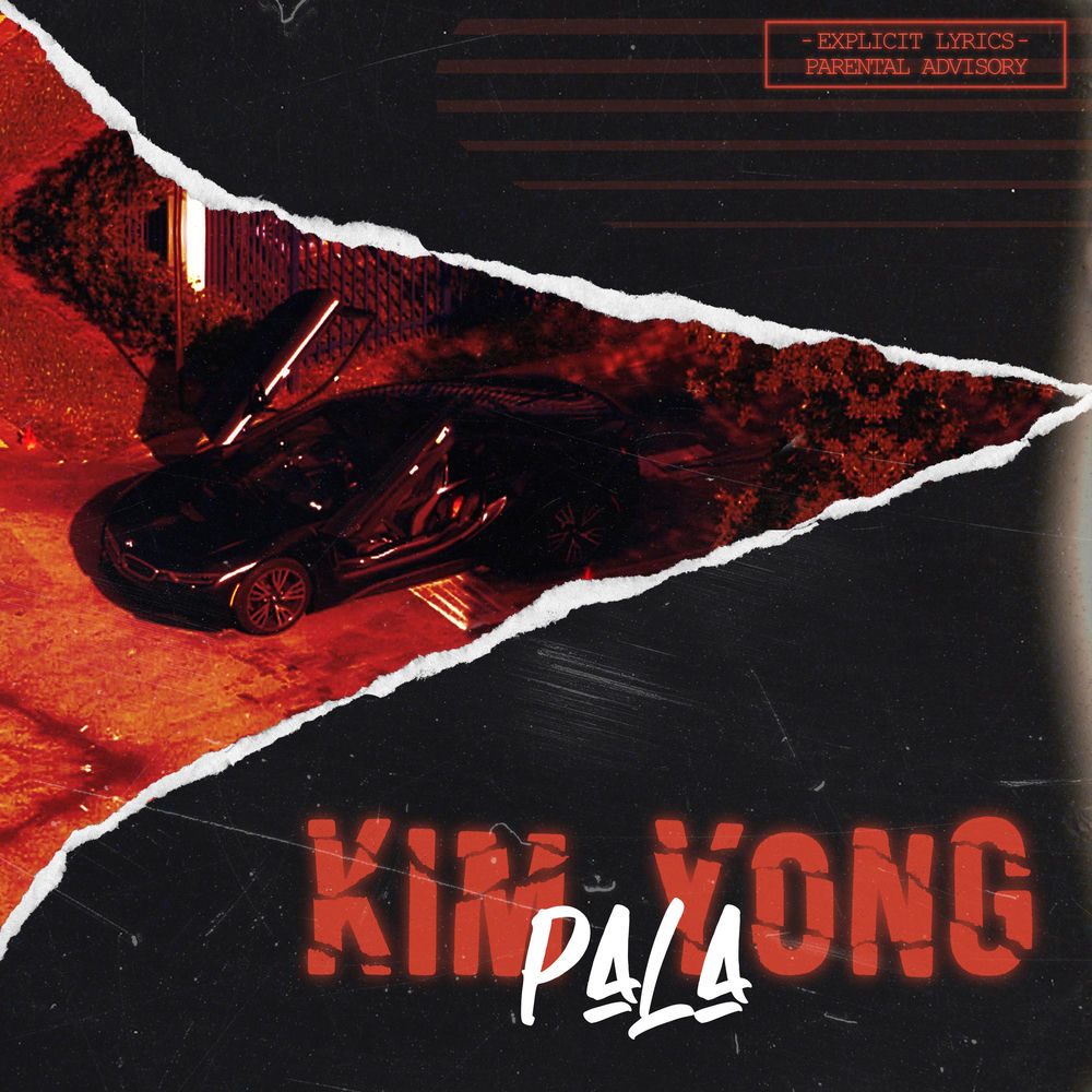 Album artwork for KIM YONG by Pala
