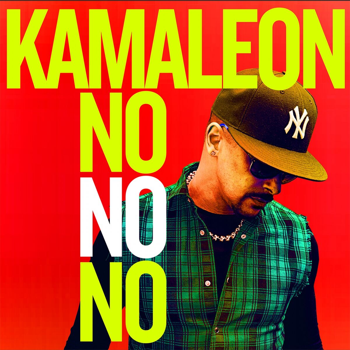 Album cover of No No No