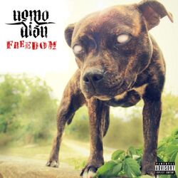 Cover of Freedom