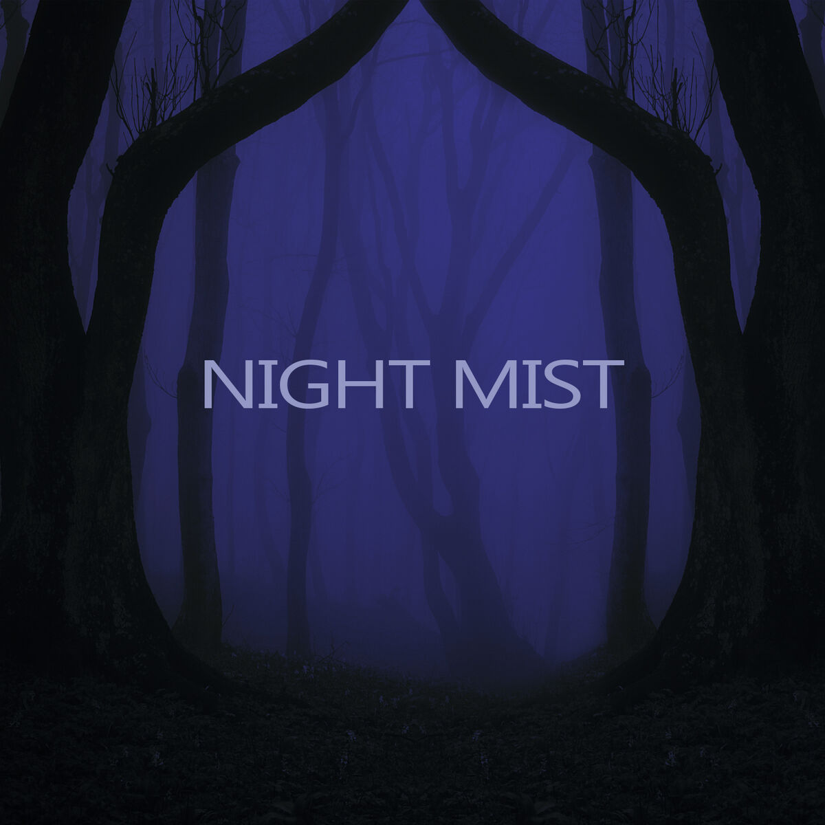 Album cover of Night Mist