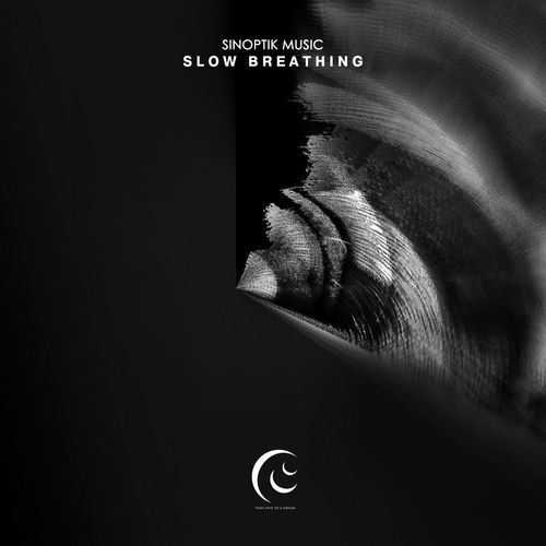 Chorus of the Sleeping Souls by Sinoptik Music - 85 BPM