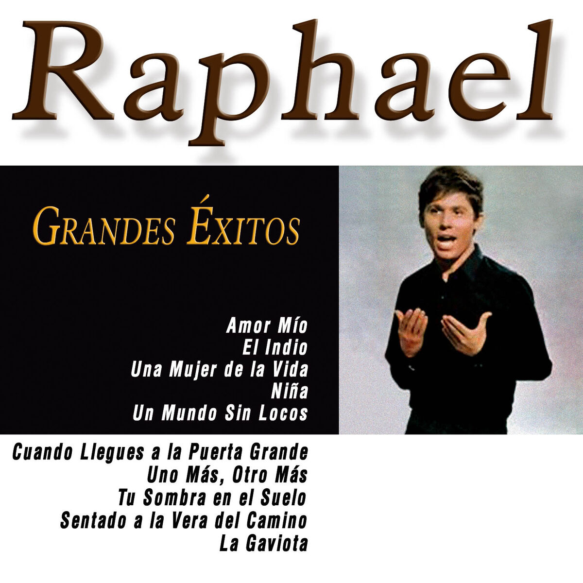 Album cover of Grandes Éxitos de Raphael