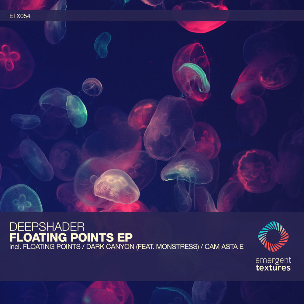 Picture of Floating Points