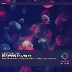 Cover of Floating Points