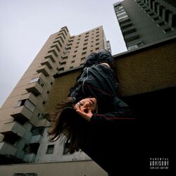 Cover of SCAPPA