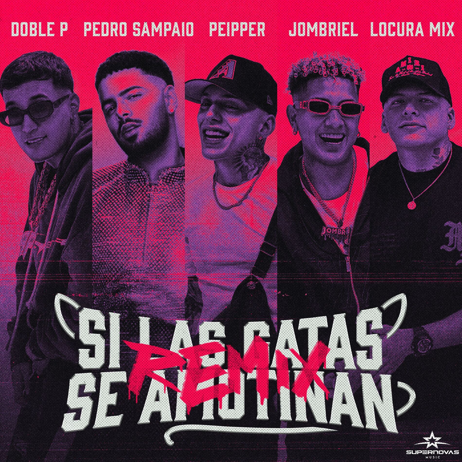 Album cover of Si Las Gatas Se Amotinan (feat. DobleP) (Remix)