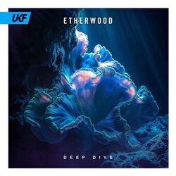 music cover