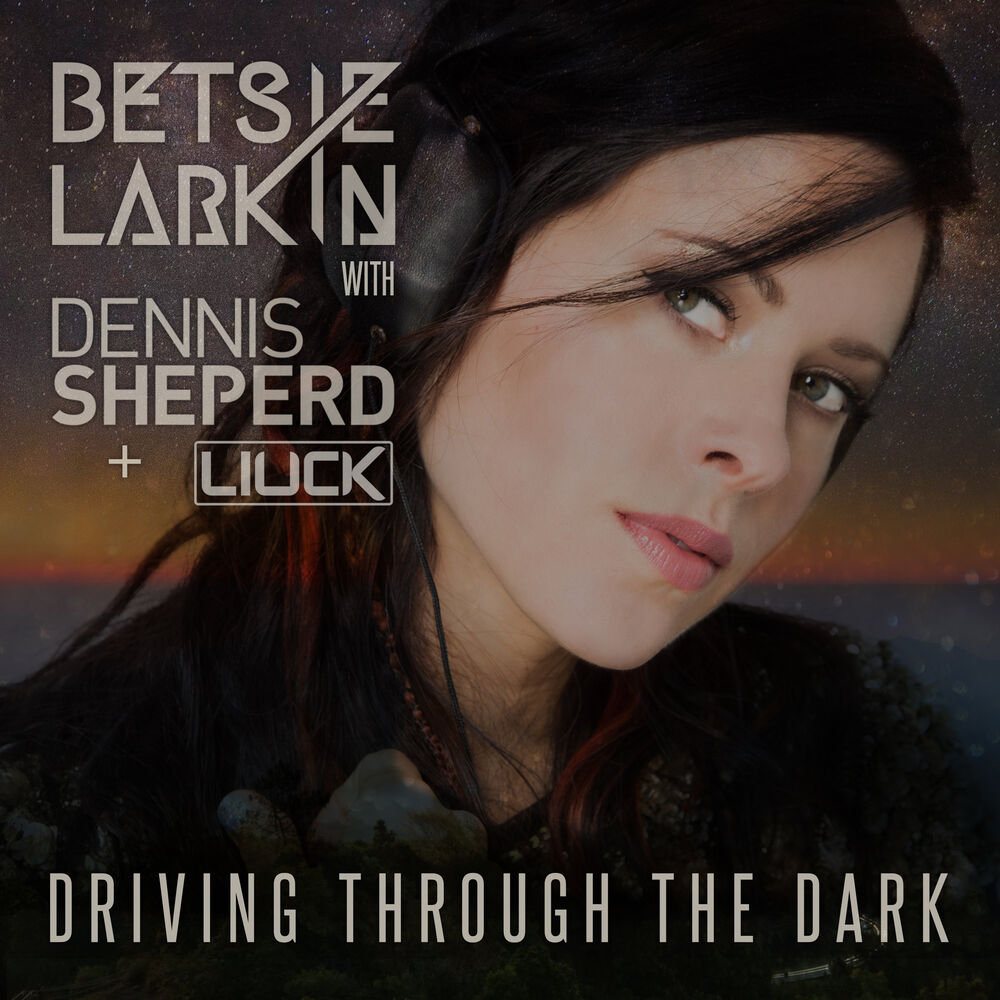 Picture of Driving Through the Dark