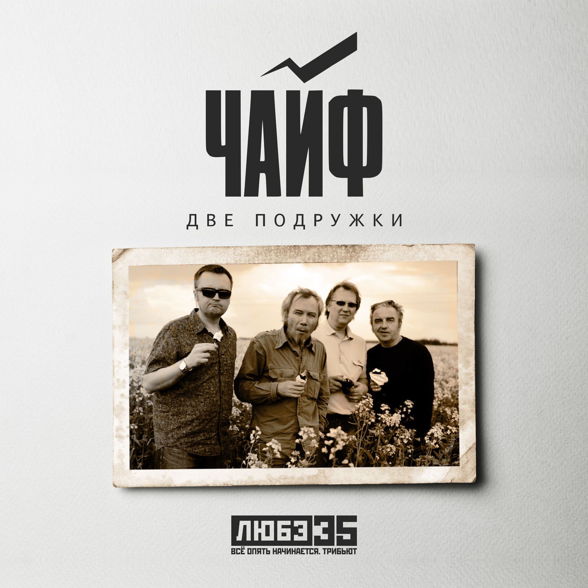 Album cover of Две подружки (Любэ 35. Всё опять начинается. Трибьют)